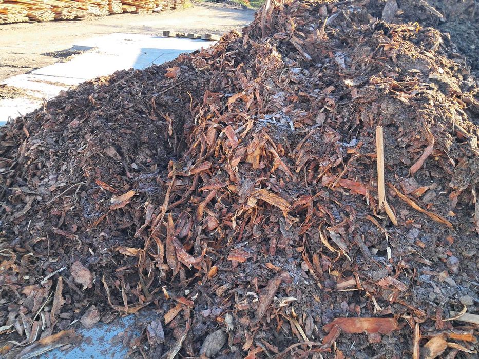 KORA sosnowa do ogrodu