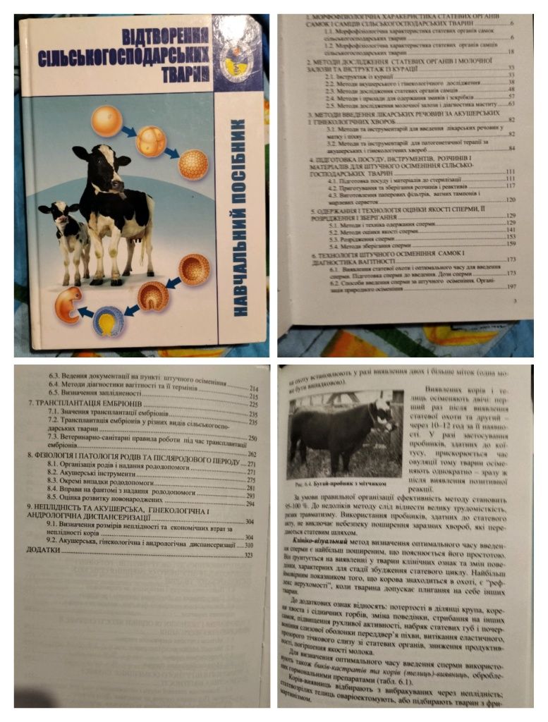 Книги для дітей та студентів