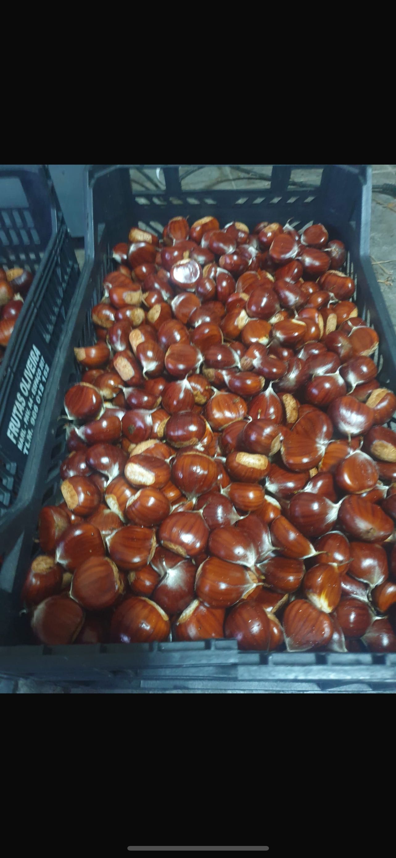 Castanhas            .