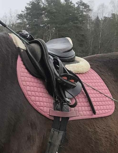 Czaprak eskadron cotton  rouge VS classic sports 2021