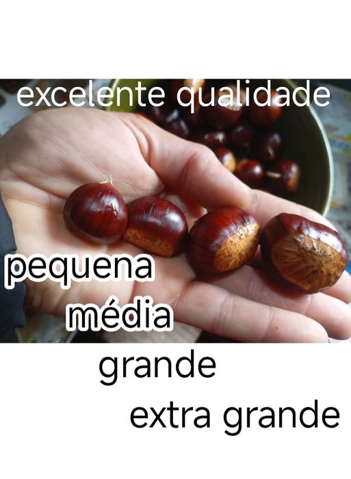 Castanha 1,00€ excelente qualidade