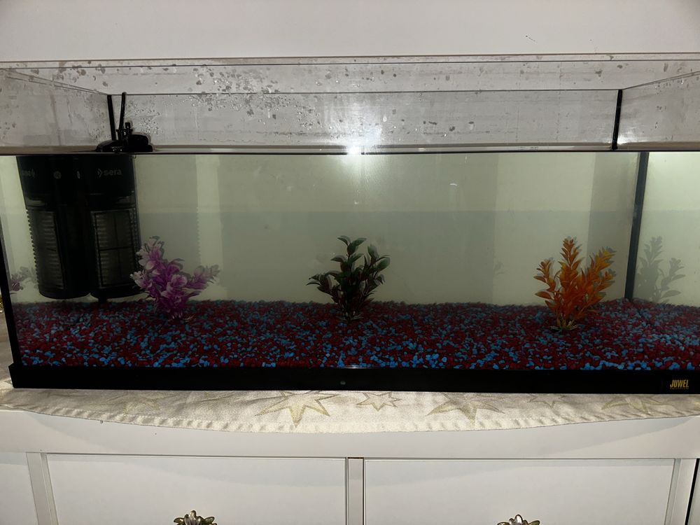 Acessorios de aquario