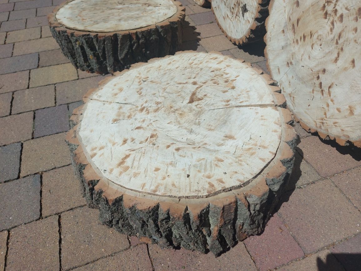 Plastry krążki drewniane 50 cm