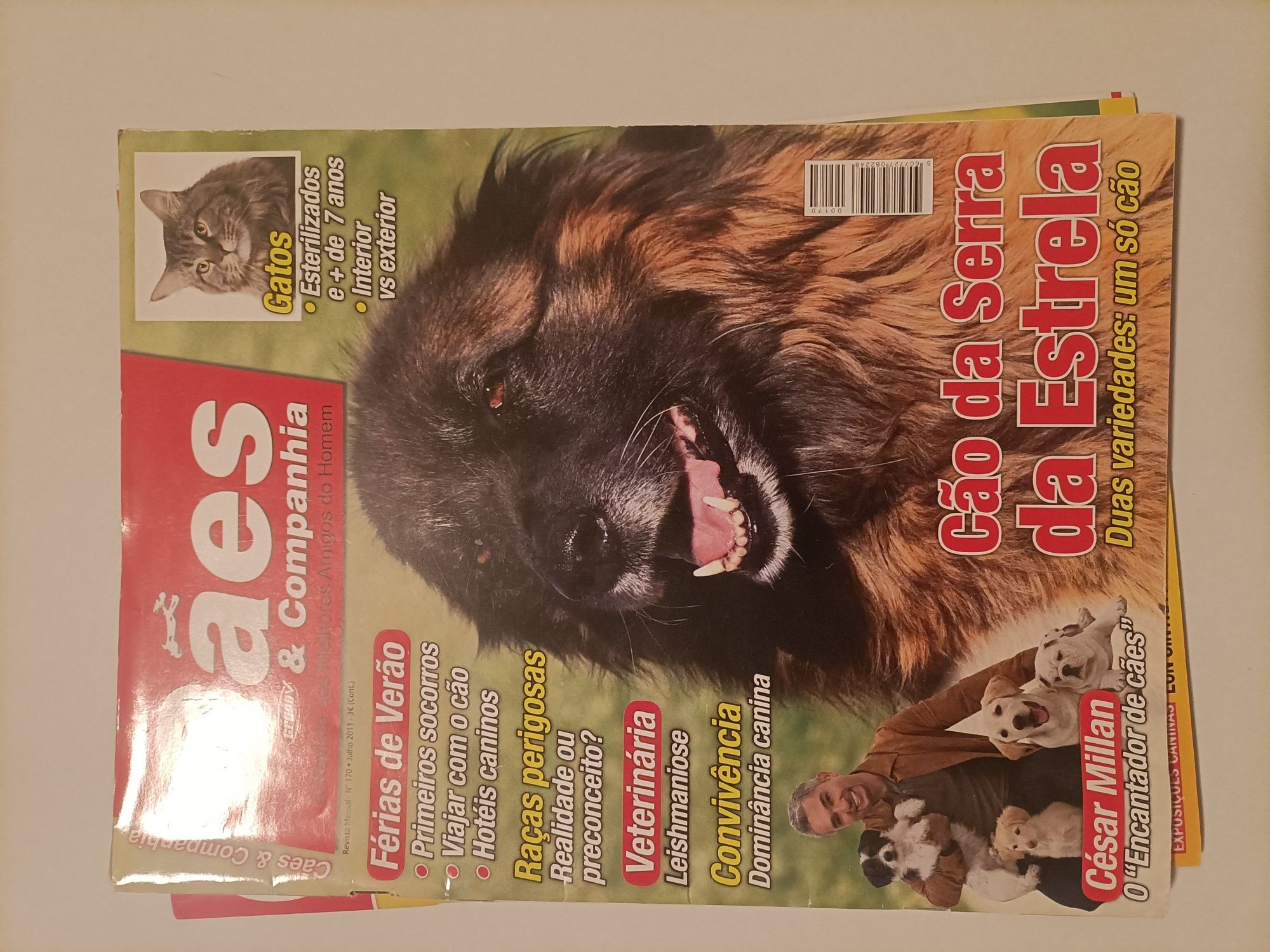 Revistas Cães e companhia