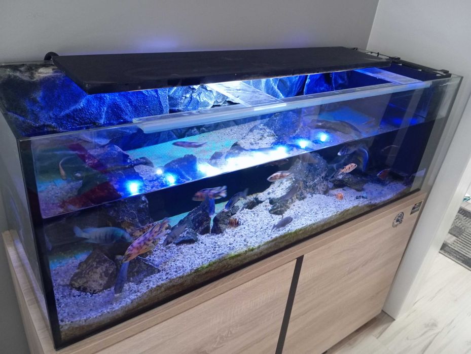 Akwarium 375l 150x50x50