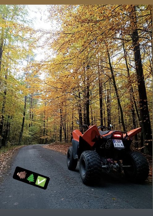 Quad  ADLY 320s możliwość zamiany