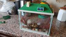 Aquario completo