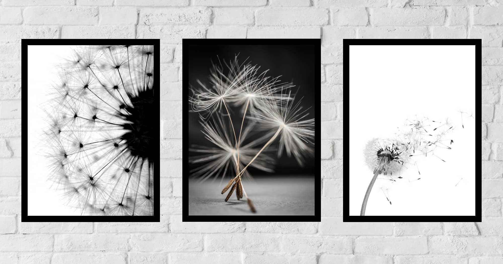 3x 50x40 A2 ZESTAW OBRAZ W RAMIE PLAKATY RAMKA boho mlecz dmuchawce