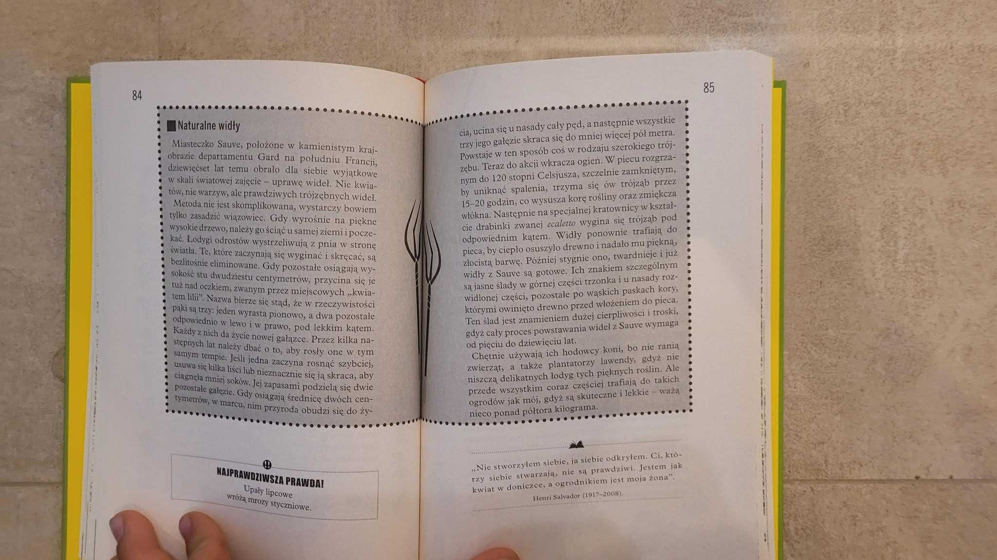 Sekrety ogrodu - książka dla dzieci