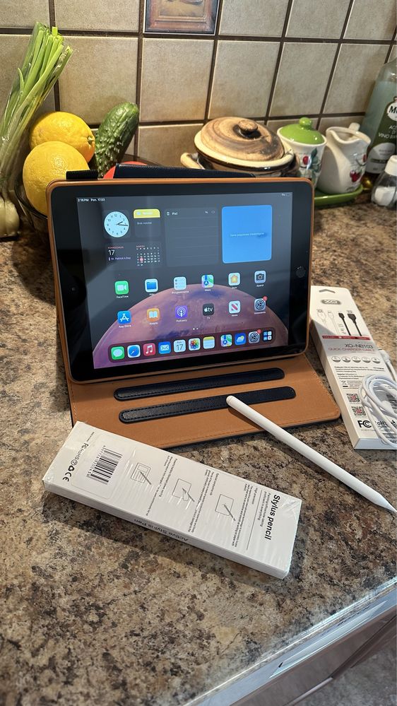Tablet iPad Apple Retina - TOUCH ID - PROCREATE