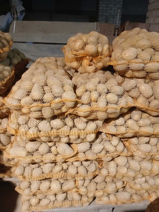 Ziemniaki Soraya, Queen Anna, Belarosa