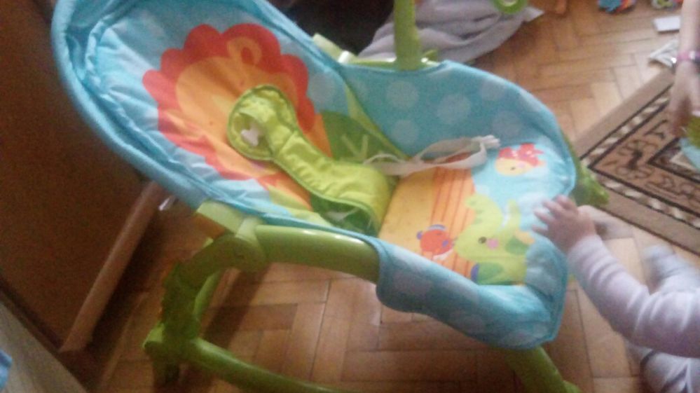 Bujak fisher price