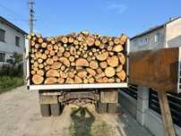 Продам дрова твердої породи