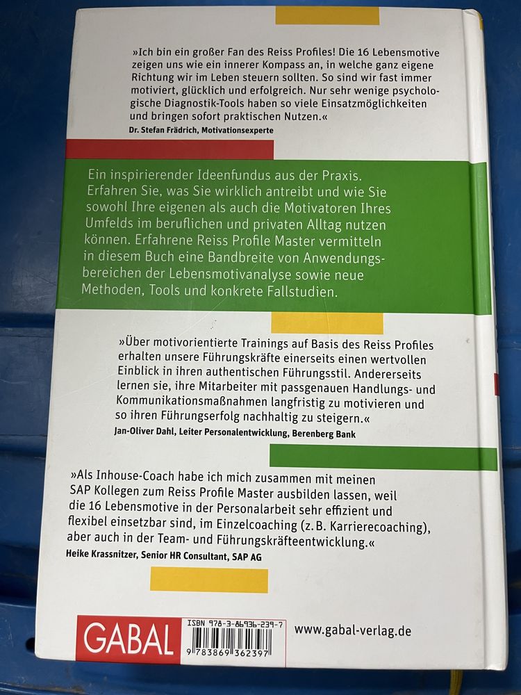 Die 16 Lebensmotive in der Praxis Deutsche Version