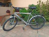 Rower Sektor 26 cali