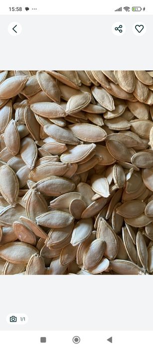 Продам насіння  домашнє.