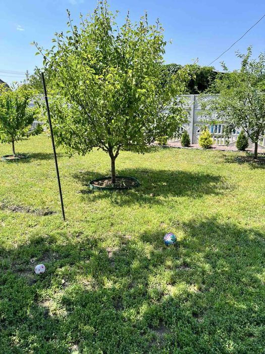 Продам дом, дачу. Волосское, Братское