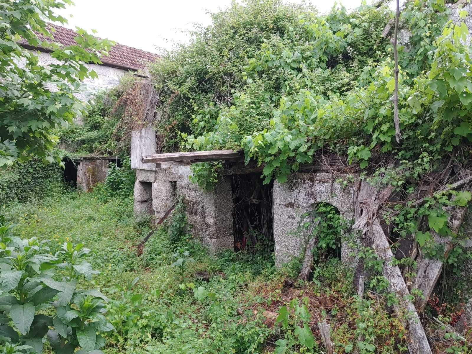 Moradia em Ruína com Terreno 1000m², Vale de Bouro, Celorico de Basto