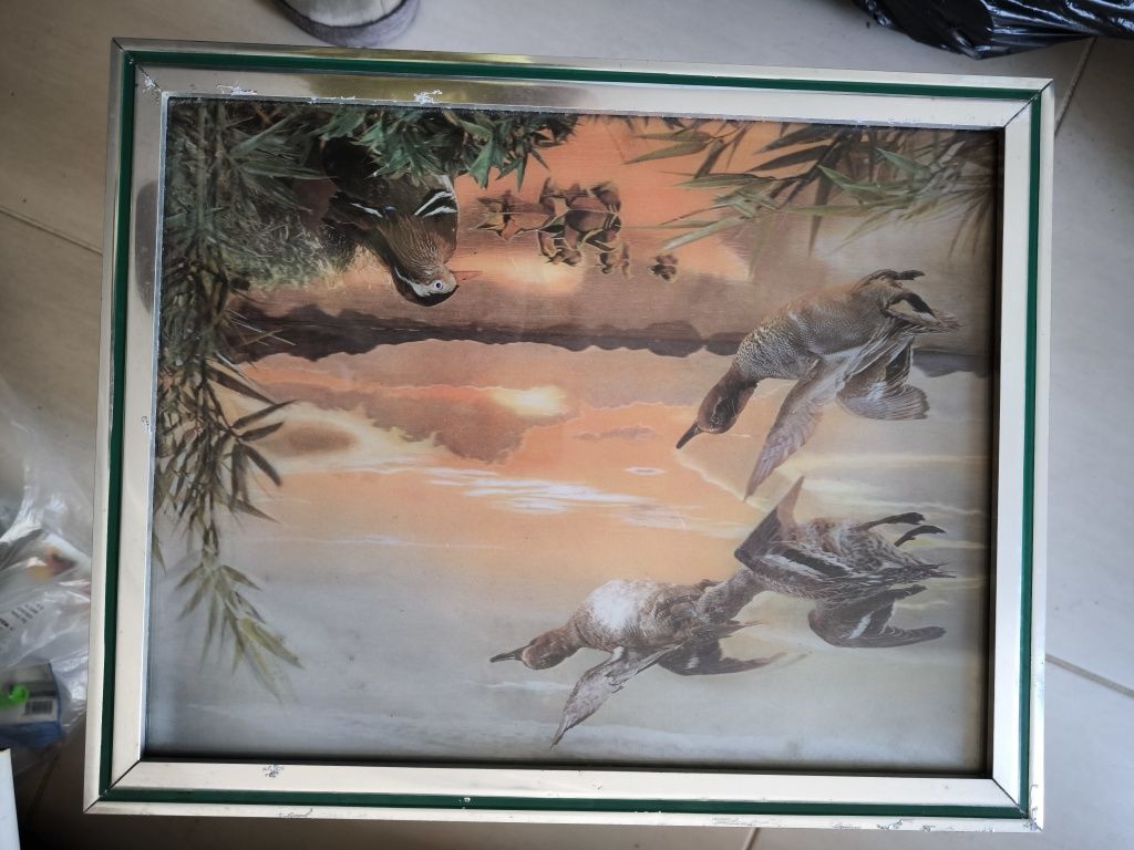 2 Quadros Holográficos
