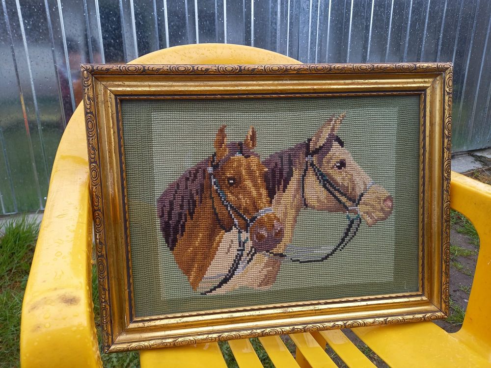 Stary Obraz konie koń w ramie