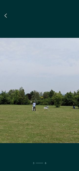 Wywrotki Rollery Gałackie gołębie