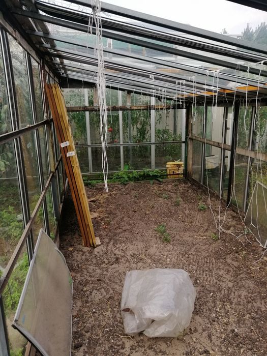 Szklarnia do uprawy pomidorów