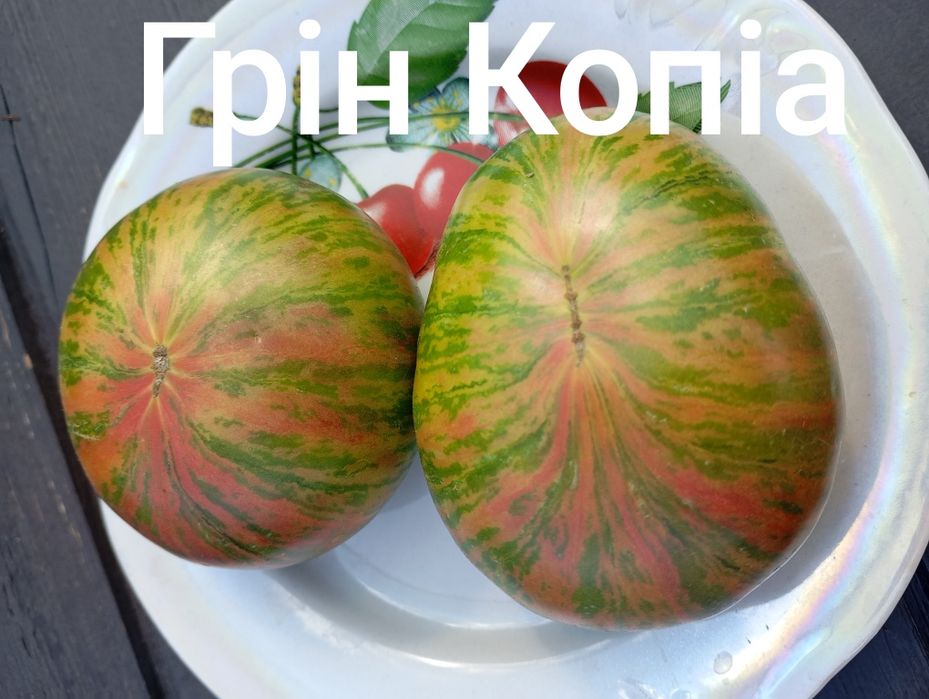 Насіння томату Грін Копіа та інші