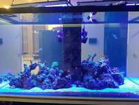 Akwarium 140x75x75 full opti szyba 12mm centralny komin czarny lacobel