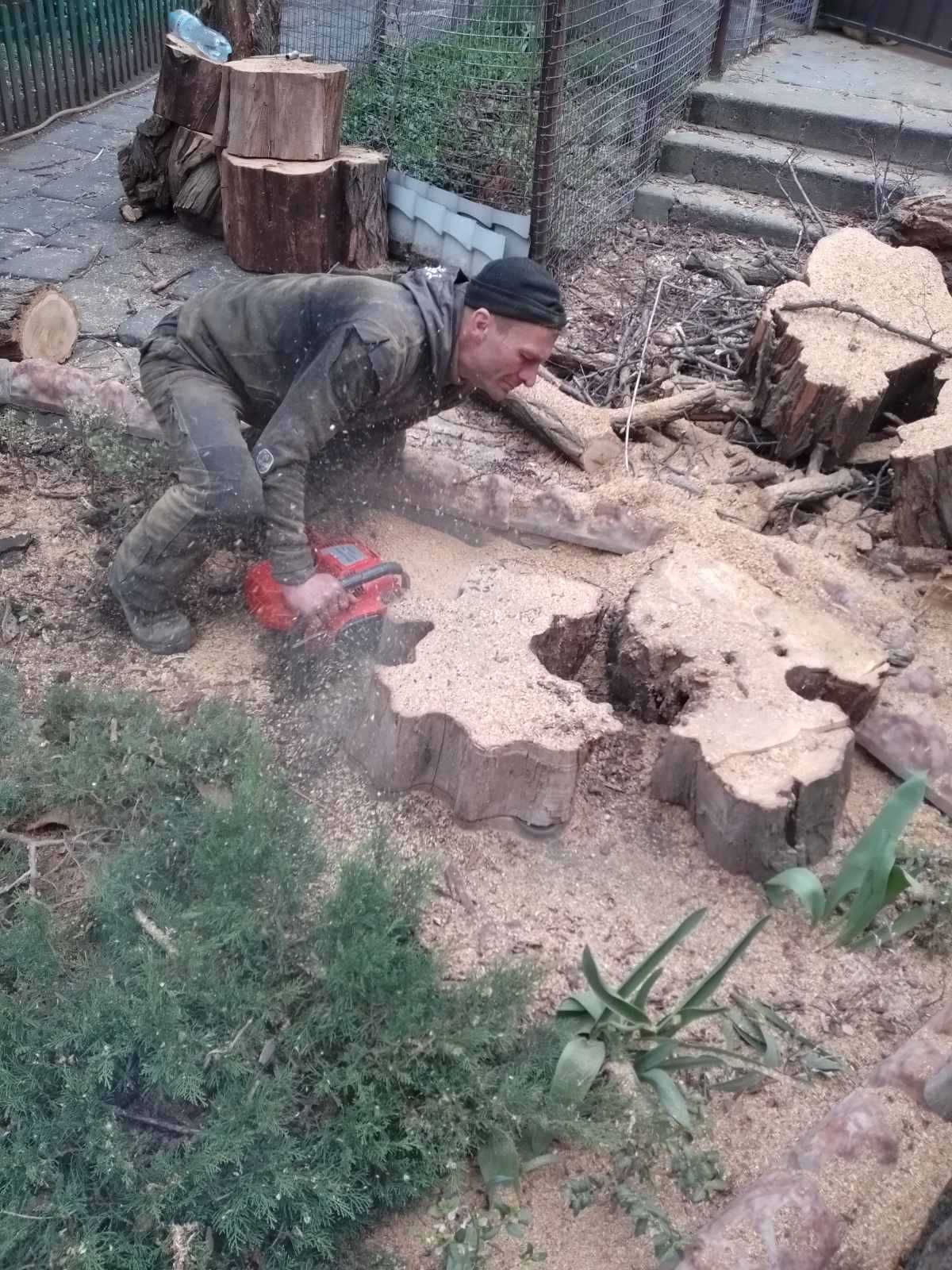 Вырезка пней пенькорезом,корчевка,удаление пней и порослей.Одесса