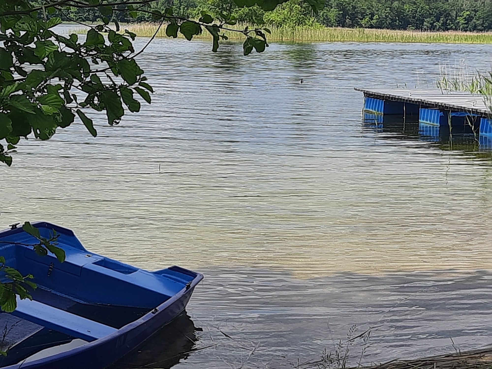 Dom 300 m.do prywatnej plaży