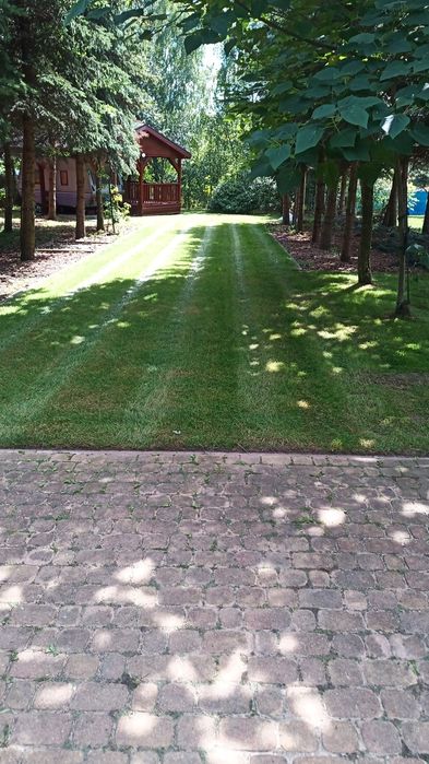 Prace ogrodowe czyszczenie działek usługi podnośnikiem koszowym inne