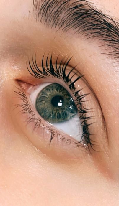 Оформлення брів,Ламінування (брови/вії),Зачіски