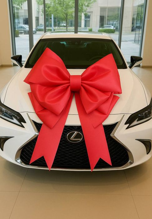 Бант на автомобиль, на подарок авто, красный,  прокат. Киев