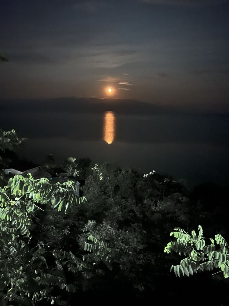 Сдам дачу у моря