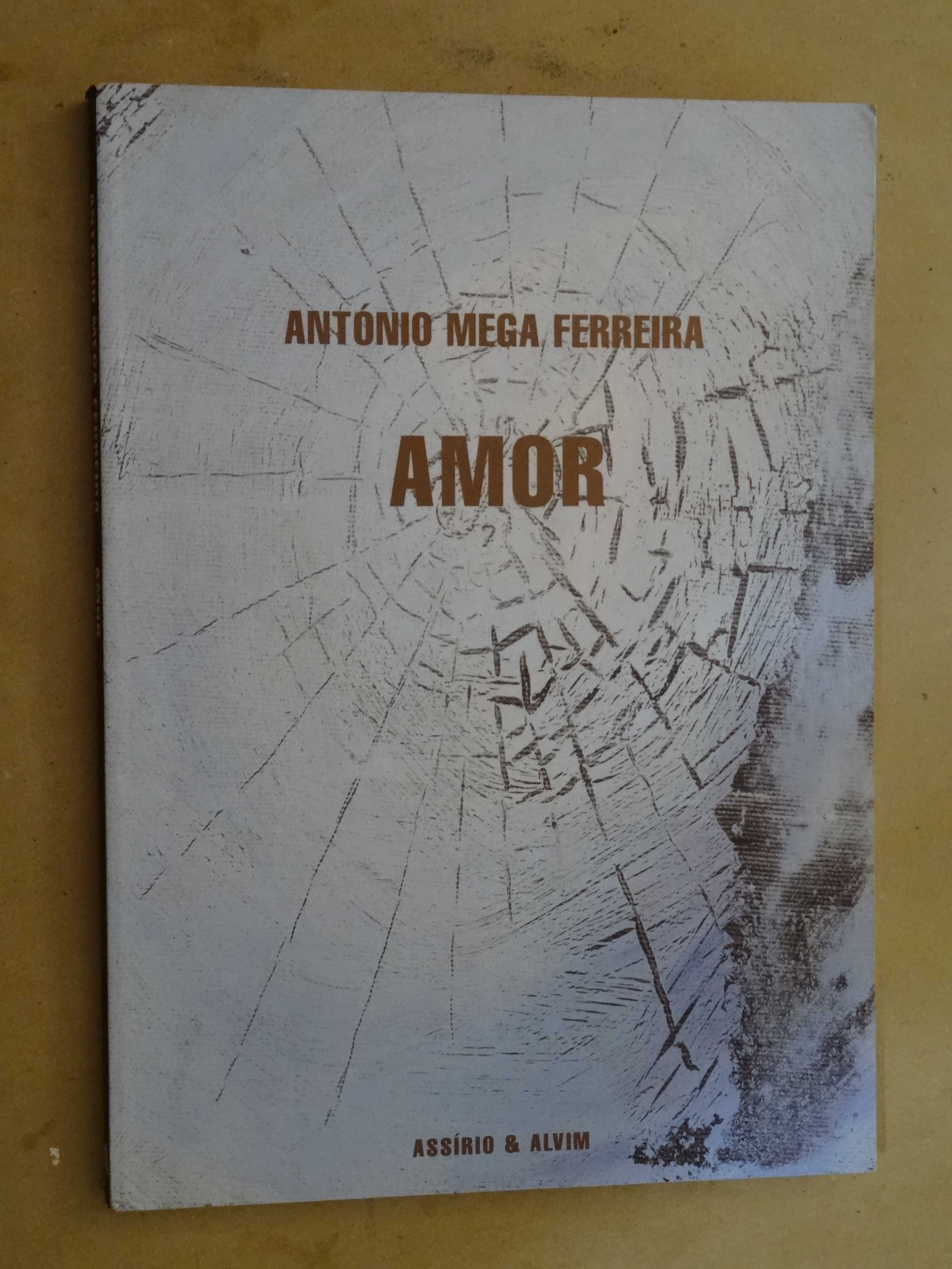 Amor de António Mega Ferreira