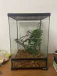 Terrario para repteis