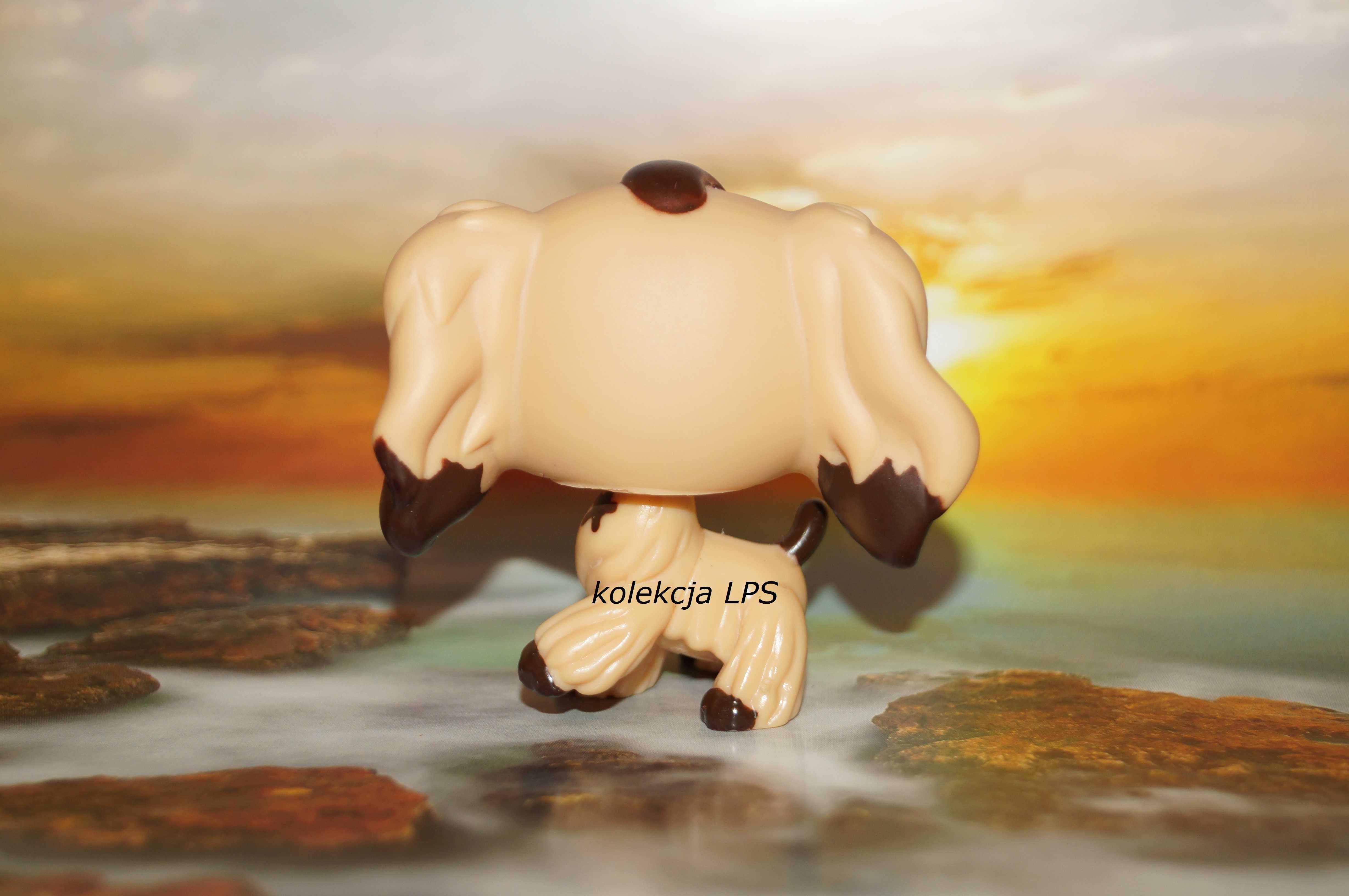 LPS spaniel #575 Littlest Pet Shop oryginalny POP oryginał UNIKAT