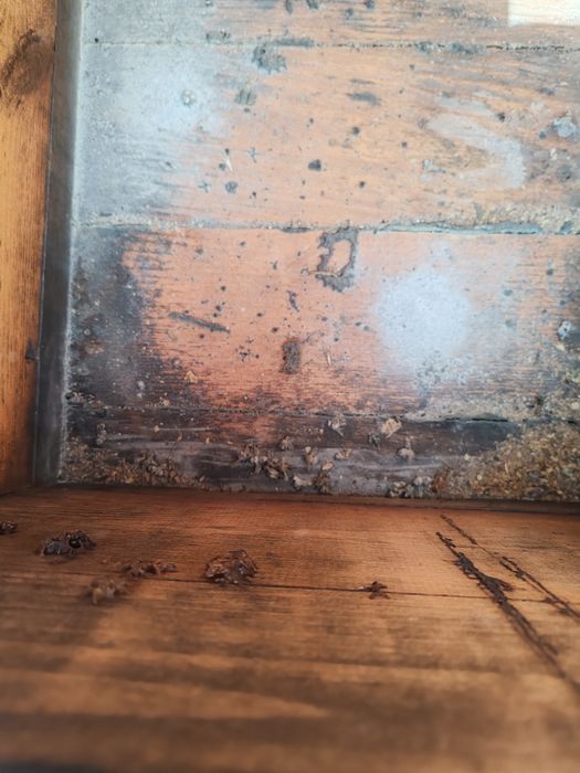 Вулики 10 рамочні