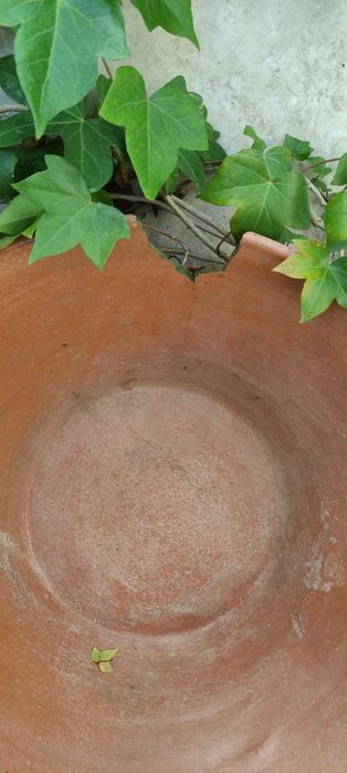 Lote de 5 grandes alguidares de barro antigos