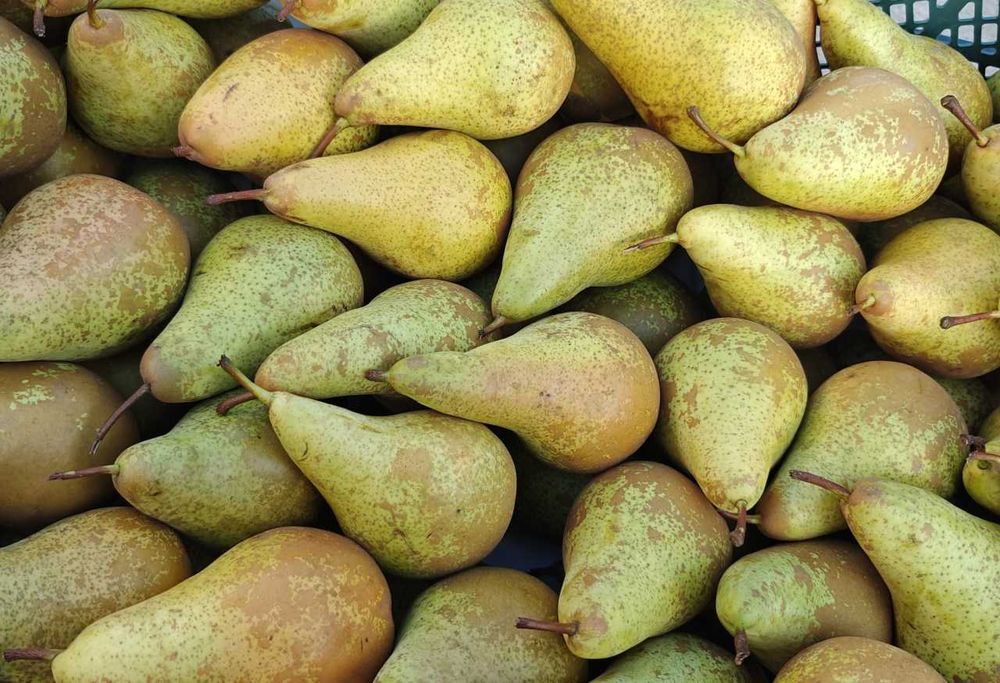 Sok Gruszka-Pigwa Tłoczony 4L Naturalny NFC | 100% Bez Dodatków