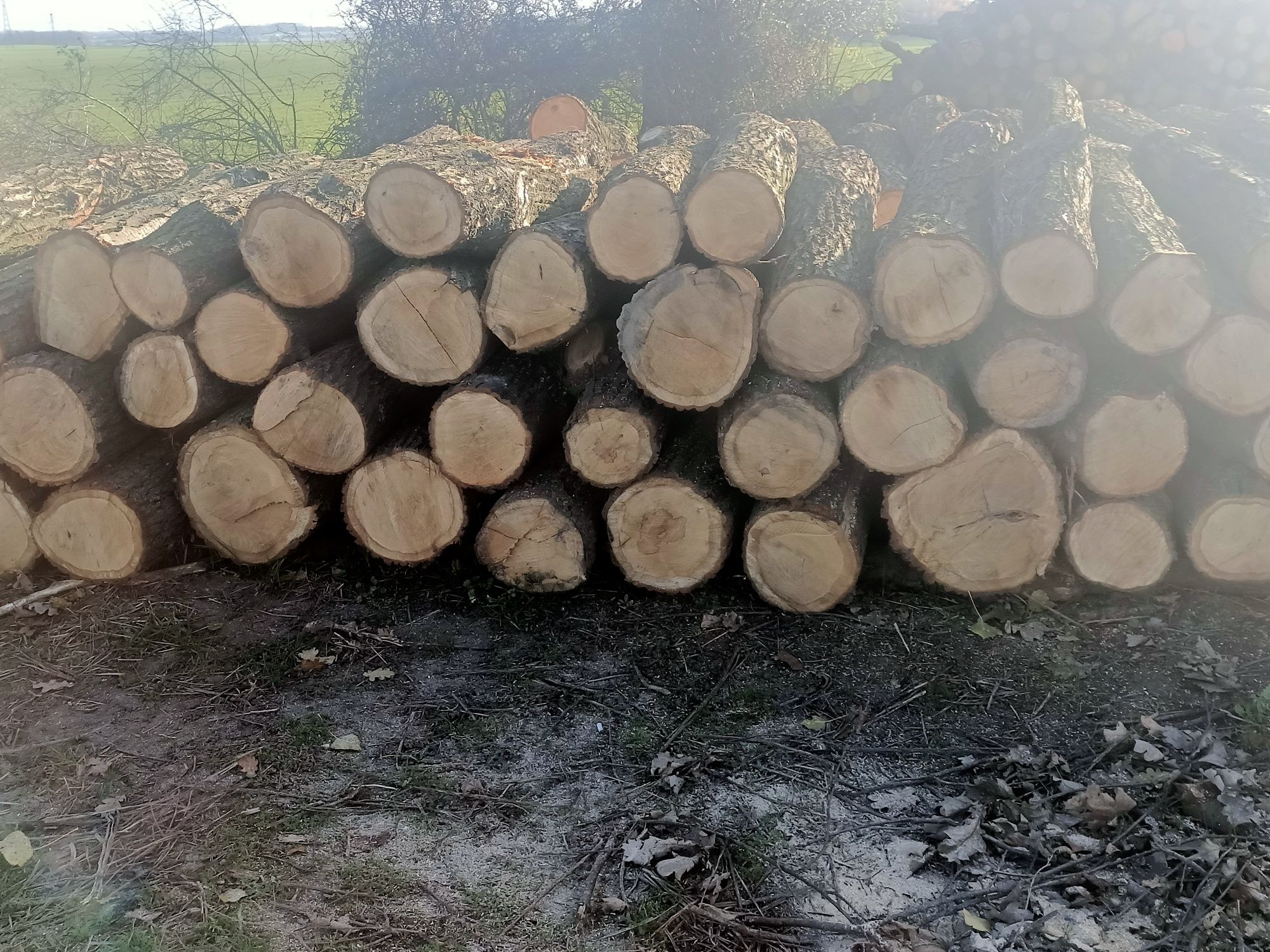 Drewno opałowe kominkowe suche