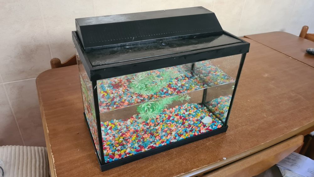 Aquario + pedras + planta artificial