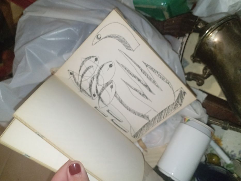 Desenho s do Fernando Jorge com defeito. A capa e bloco