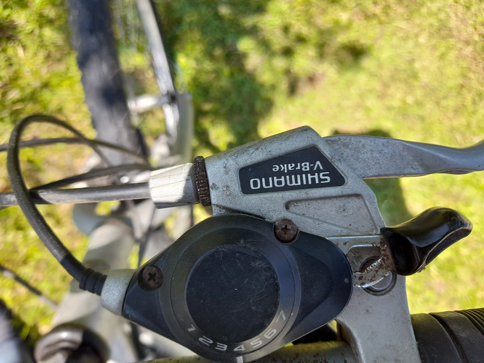 Bicicleta Radford Exon Alu