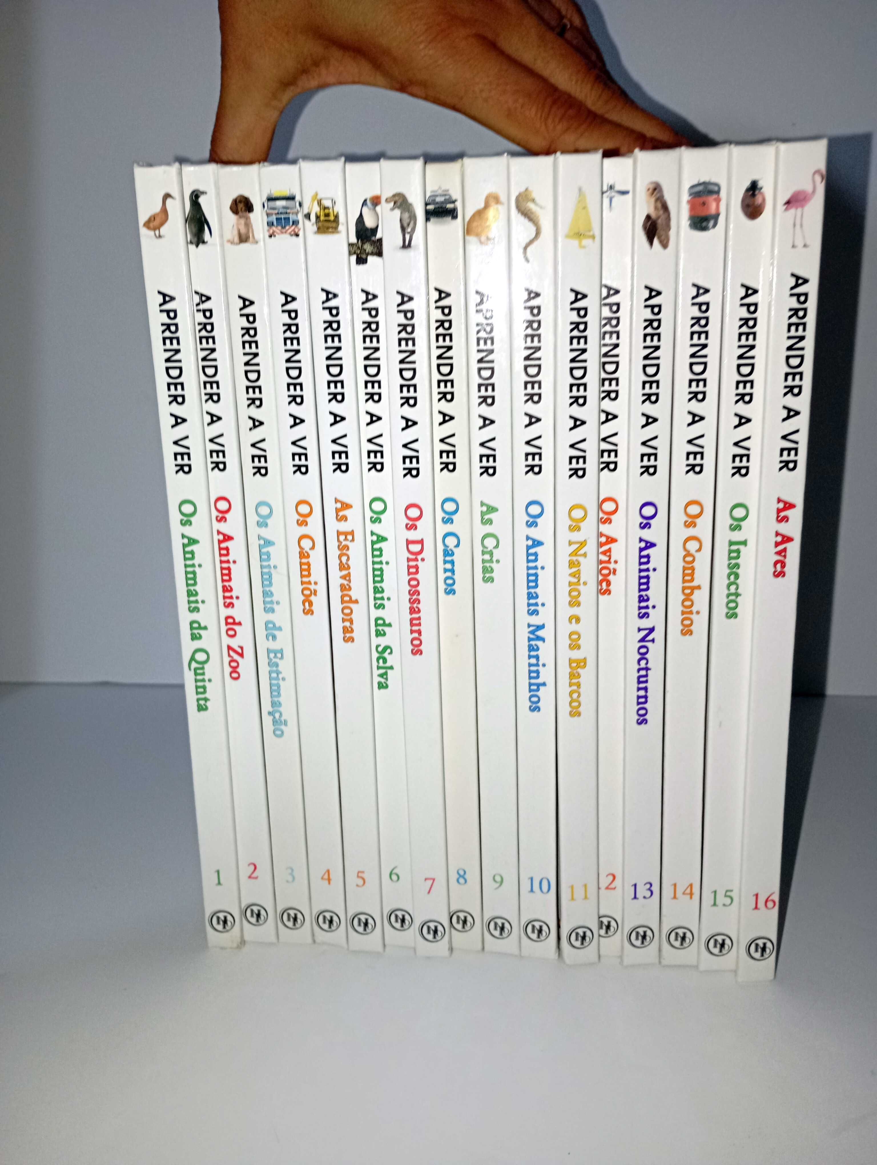 Coleção Completa Aprender a ver  - 16 Volumes