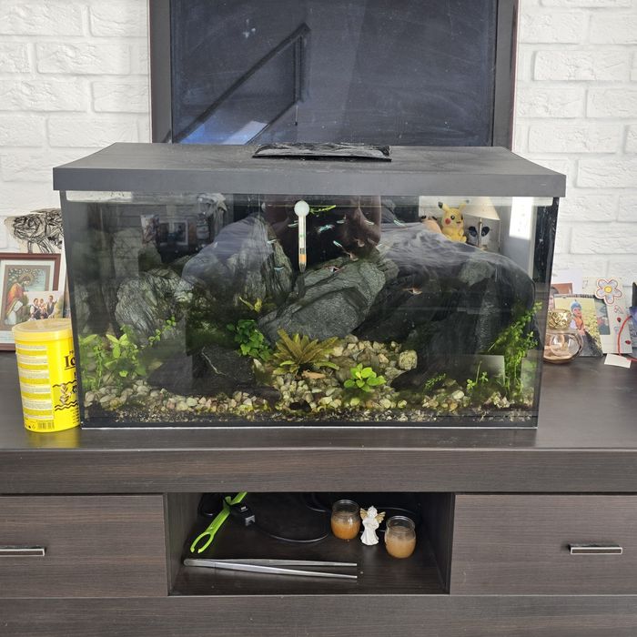 Kompletne akwarium 100l