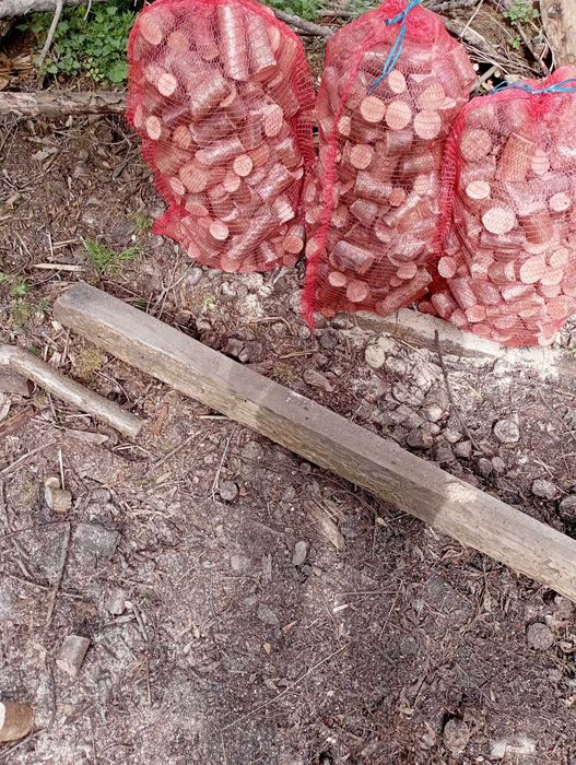Продам обрізки з ліщини