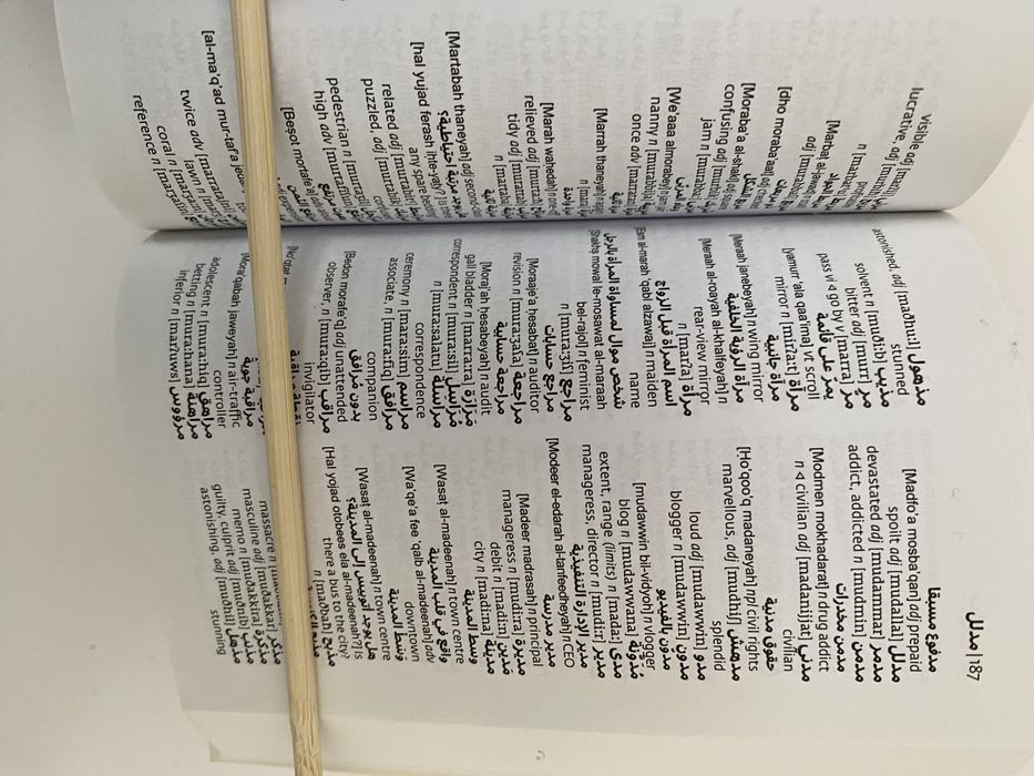 Collins Arabic mini dictionary