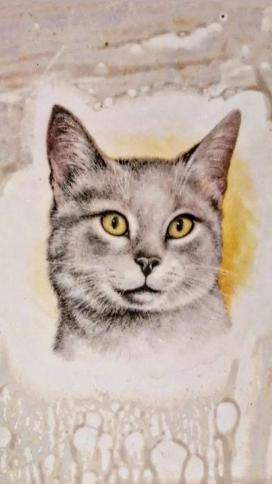 Conjunto garrafa e 4 cálices, com imagem de gatos

15 €

#A9934CR