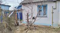 Продам будинок с Савин (60 км від Києва)